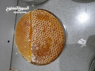  3 عسل دوعني شمع للبيع