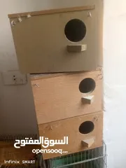  6 اقفاص للطيور واعشاش