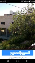  1 منزل للبيع فى عمان ناعور الروضه الغربي