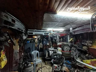  28 قطع بوز نمر