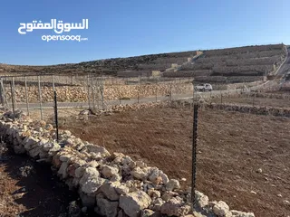  3 قطعتين مجاورتان للبيع في ضاحية النسيم دومه /دورا اول الظاهريه ، تصنيف الف بناء طابو