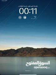  4 ايباد برو M4