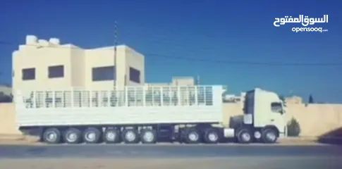  2 راس تريلا ڤواڤو