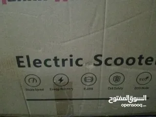  5 electric scotty