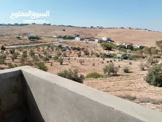  14 لقطة ؛ أرض زراعية مع غرفة على حدود الطفيلة والكرك ، تصلح للاستثمار كمزرعة سياحية أو منتجع سياحي