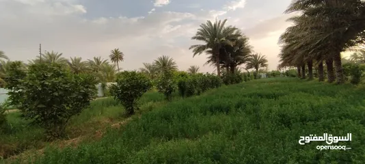  13 مزرعه للبيع في ابو غرق