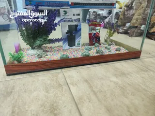  7 للبيع حوض سمك مجهز بالكامل! حوض أنيق بتصميم عصري، يحتوي فلتر .احجار ، صدف، انارة لد، عشب كامل