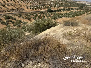  8 ارض للبيع نادرة