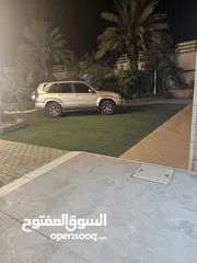 8 فيلا الاحلام