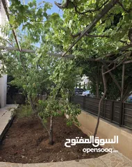  16 شقة أرضية للبيع في الحي الشرقي