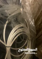  10 جلاية دايو + كولر ماء فأميلي