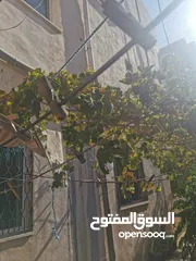  3 بيت مستقل للبيع