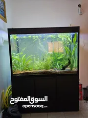  1 Aquarium with complete set