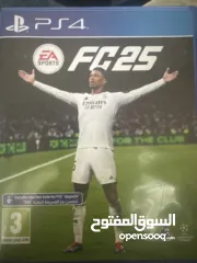  3 سيدي فيفا 2025