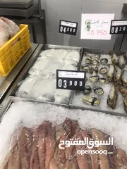  25 ‏للبيع سمك