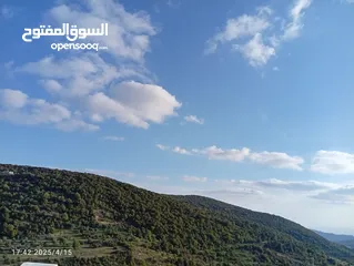  4 بيت العز والكرم