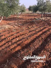  1 فرصة استثمارية مميزة – أرض للبيع في إربد / حوارة بموقع استراتيجي ومساحة واسعة