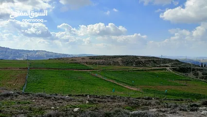 5 نمرتين ارض للبيع