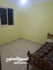  5 شقة ميامى خالد بن الوليد