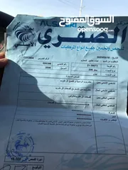  6 بيجو 206 موديل 2006