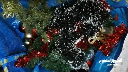  5 شجرة عيد الميلاد