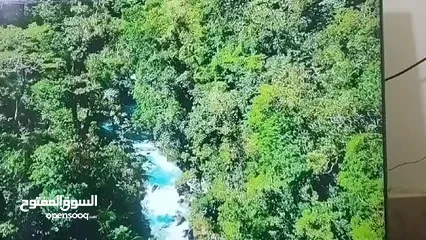  3 شاشة باناسونيك 55 بوصه سمارت فور كيه فريملس