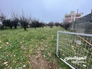  2 ارض للبيع بنص السعر و دقيقة عن خط ستين و 10 دقايق عن راس الجورة ، موقع ممتاز واصل كافة الخدمات