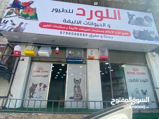 1 محل حيونات للبيع