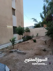 7 شقة طابق ارضي / الشاميه