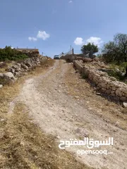  4 أرض طابو مطلة ومشجرة بسعر مغري