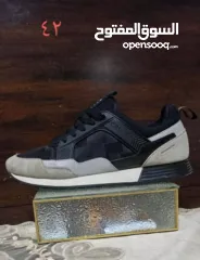  24 شروه احذية 60 جوز اصلي اوروبي منضف معقم جاهز للبيع