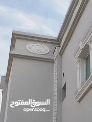  13 طارد الحمام والطيور