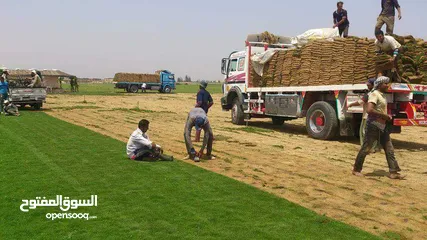  15 رمل احمر العين وجميع انواع مواد البناء بسعر مناسب