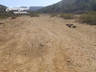  4 ارض مميزة للبيع