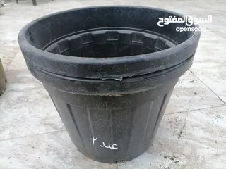  2 قوارير احجمام مختلفه+شجرة زينه بلاستيك قوي بسعر مغري