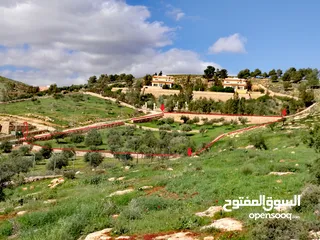  1 فرصة مغرية جدا لشراء ارض 4013 متر مربع للبيع بسعر مغري جدا في اجمل مناطق جرش واقربها لعمان