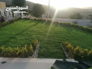  12 عشب صناعي (ترتان) وأشجار و ورد صناعي