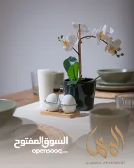  3 شقة المها للإيجار اليومي - في قلب محافظة مسقط