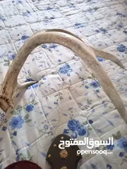  8 مجموعه للبيع للبيع