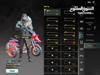  30 PUBG MOBILE ACCOUNT FOR SELL