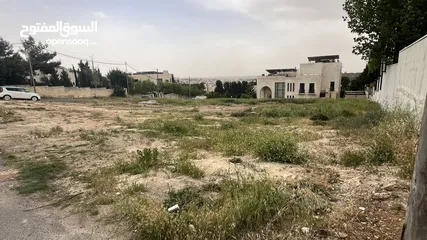  2 قطعة أرض مميزة في دابوق
