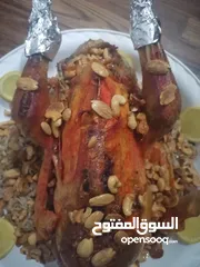  13 طعام جاهز  بيتي