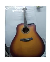  1 New guitar with free pik