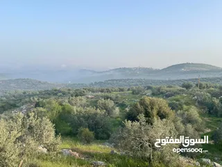  1 أراضي للبيع بمساحات متعددة - طولكرم - كفرعبوش