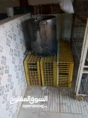  6 عدة محل جاج كامل للبيع بسعر مفري  350