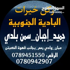  17 جميد بلدي جميد كركي سمنه بلدي جبنة غنم