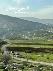  1 ارض للبيع جرش عنيبه بقوشان مستقل 3500متر مفروزه بقوشان مستقل اطلاله مميزه جدا جدا