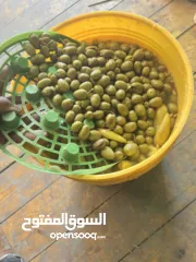  2 زيت زيتون رام الله