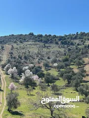  8 ارض زراعية مرتفعة اطلالة متميزة