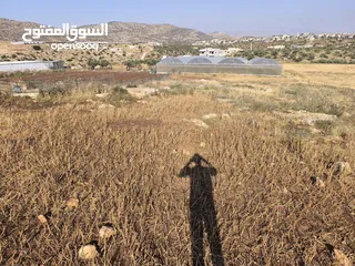  3 الارض للبيع 1235